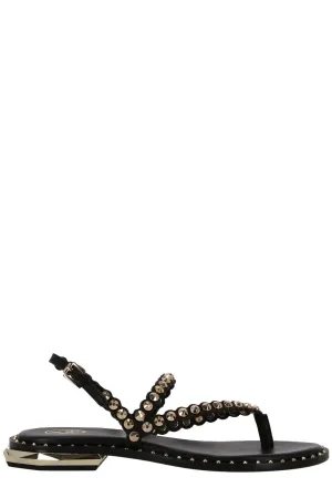 Ash Patchy Studded Buckle Fastened Sandals