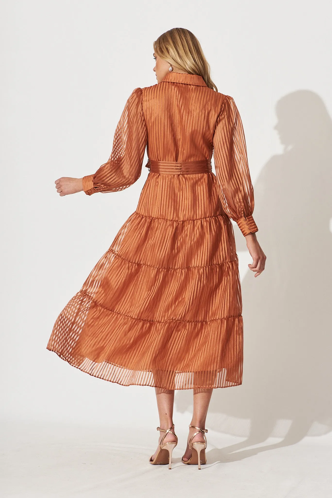 Dorothy Maxi Shirt Dress In Bronze Organza