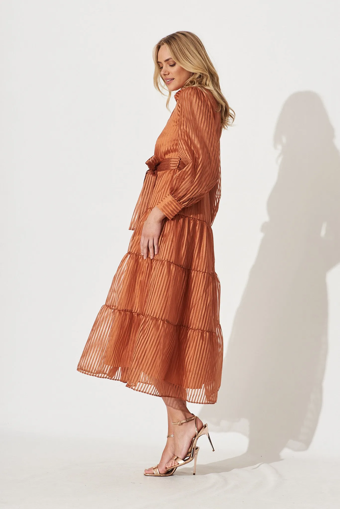 Dorothy Maxi Shirt Dress In Bronze Organza