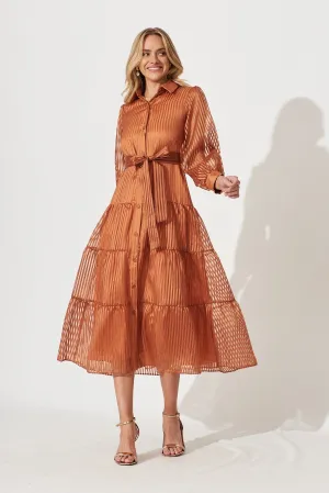 Dorothy Maxi Shirt Dress In Bronze Organza