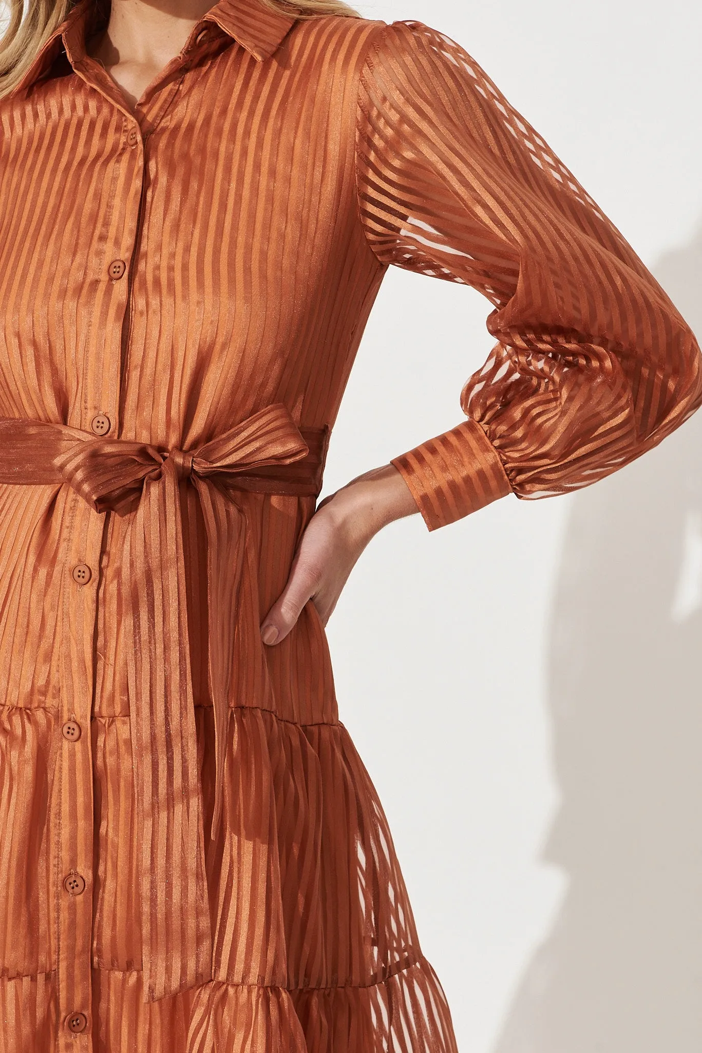 Dorothy Maxi Shirt Dress In Bronze Organza