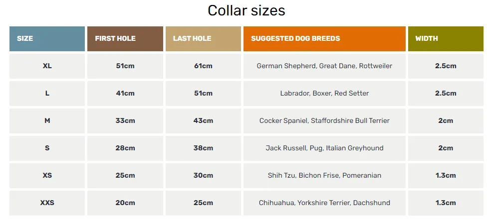 Oscar & Hooch - Dog Collar - Sky Blue - Medium